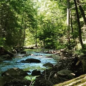 Meet your Posher, Raquel